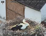 Capi_Dubne_20250502_190002.jpg