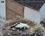 Capi_Dubne_20250502_190502.jpg