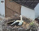 Capi_Dubne_20250502_191003.jpg