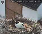 Capi_Dubne_20250502_191502.jpg