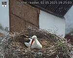 Capi_Dubne_20250502_192503.jpg