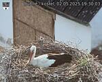 Capi_Dubne_20250502_193003.jpg