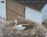 Capi_Dubne_20250502_193503.jpg