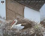 Capi_Dubne_20250502_194002.jpg