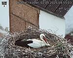 Capi_Dubne_20250502_195503.jpg