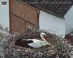 Capi_Dubne_20250502_200002.jpg