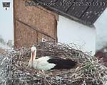 Capi_Dubne_20250502_201003.jpg