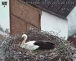 Capi_Dubne_20250502_201502.jpg