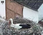 Capi_Dubne_20250502_203002.jpg