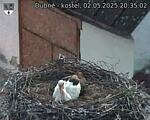 Capi_Dubne_20250502_203502.jpg