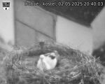 Capi_Dubne_20250502_204003.jpg