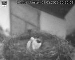 Capi_Dubne_20250502_205002.jpg