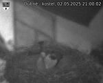 Capi_Dubne_20250502_210002.jpg