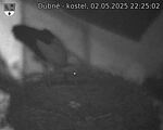 Capi_Dubne_20250502_222502.jpg