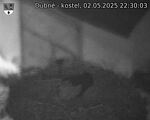 Capi_Dubne_20250502_223003.jpg
