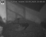 Capi_Dubne_20250502_230503.jpg