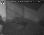 Capi_Dubne_20250502_231502.jpg