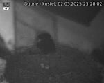 Capi_Dubne_20250502_232002.jpg