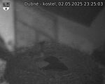 Capi_Dubne_20250502_232503.jpg