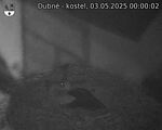 Capi_Dubne_20250503_000002.jpg