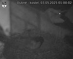 Capi_Dubne_20250503_010002.jpg