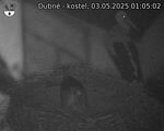 Capi_Dubne_20250503_010502.jpg