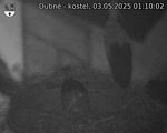 Capi_Dubne_20250503_011002.jpg