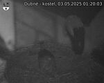 Capi_Dubne_20250503_012003.jpg