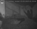 Capi_Dubne_20250503_013502.jpg