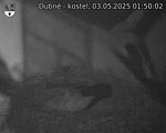 Capi_Dubne_20250503_015002.jpg