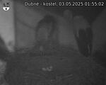 Capi_Dubne_20250503_015502.jpg