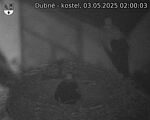 Capi_Dubne_20250503_020003.jpg