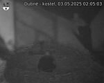 Capi_Dubne_20250503_020503.jpg