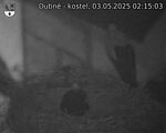Capi_Dubne_20250503_021503.jpg