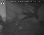 Capi_Dubne_20250503_022502.jpg