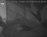 Capi_Dubne_20250503_023003.jpg