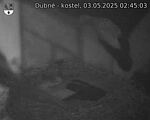 Capi_Dubne_20250503_024503.jpg