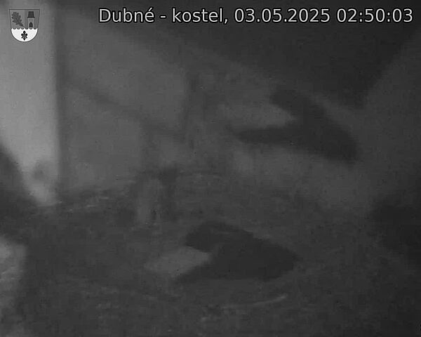Capi_Dubne_20250503_025003.jpg (1350 x 1080)