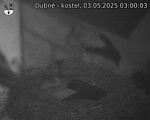 Capi_Dubne_20250503_030003.jpg