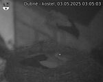 Capi_Dubne_20250503_030503.jpg