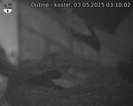 Capi_Dubne_20250503_031002.jpg