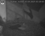 Capi_Dubne_20250503_032003.jpg