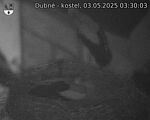 Capi_Dubne_20250503_033003.jpg