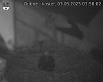 Capi_Dubne_20250503_035002.jpg