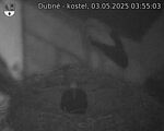 Capi_Dubne_20250503_035503.jpg