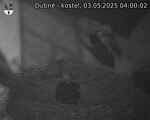Capi_Dubne_20250503_040002.jpg