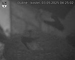 Capi_Dubne_20250503_042502.jpg