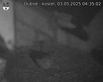 Capi_Dubne_20250503_043502.jpg