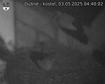 Capi_Dubne_20250503_044002.jpg