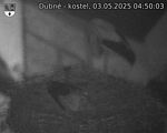 Capi_Dubne_20250503_045003.jpg